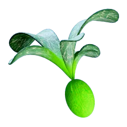 Cherimoya Rotsac icon