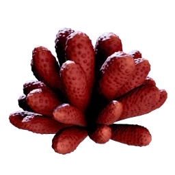 Aster Scyllid icon