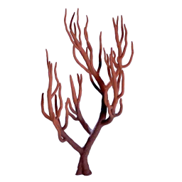 Branching Coral icon