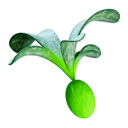 Cherimoya Rotsac icon
