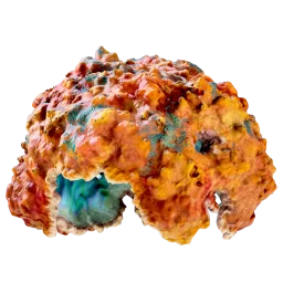 Coral Dome icon