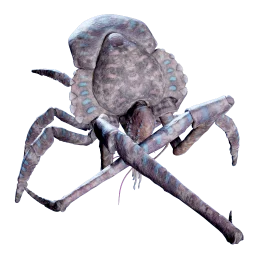 Dead Coral Crab icon