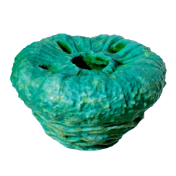 Donut, No Worms icon