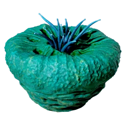 Donut of Worms icon