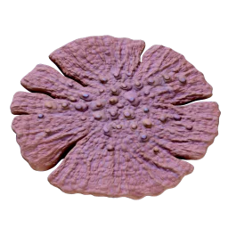 Dragon's scale coral icon