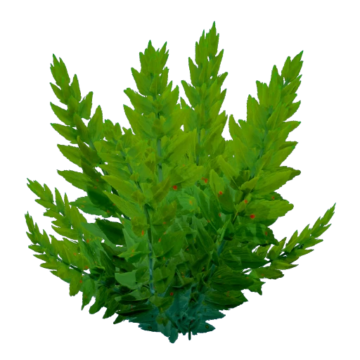 Fern Kelp icon