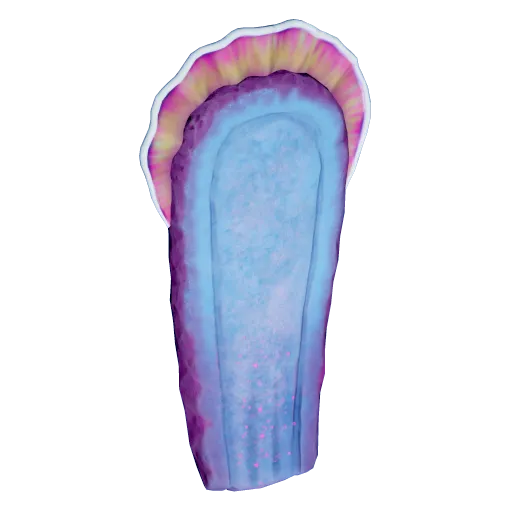Macaron Lining icon